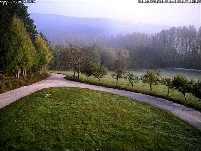 specialgrillenberg09